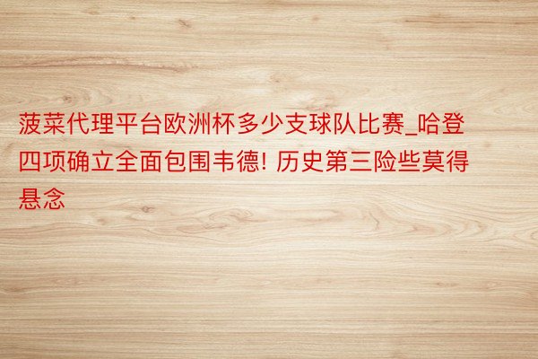 菠菜代理平台欧洲杯多少支球队比赛_哈登四项确立全面包围韦德! 历史第三险些莫得悬念