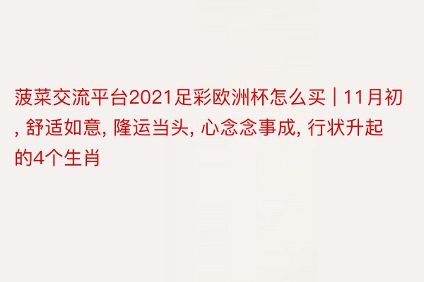 菠菜交流平台2021足彩欧洲杯怎么买 | 11月初, 舒适如意, 隆运当头, 心念念事成, 行状升起的4个生肖